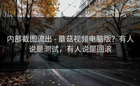 内部截图流出 - 蘑菇视频电脑版？有人说是测试，有人说是回滚