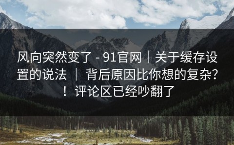 风向突然变了 - 91官网｜关于缓存设置的说法 ｜ 背后原因比你想的复杂？！评论区已经吵翻了