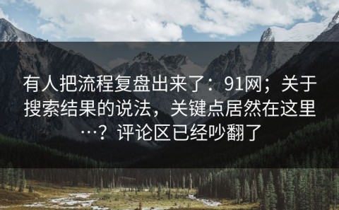 有人把流程复盘出来了：91网；关于搜索结果的说法，关键点居然在这里…？评论区已经吵翻了