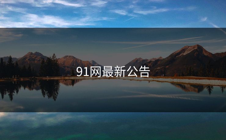 91网最新公告 91网最新公告